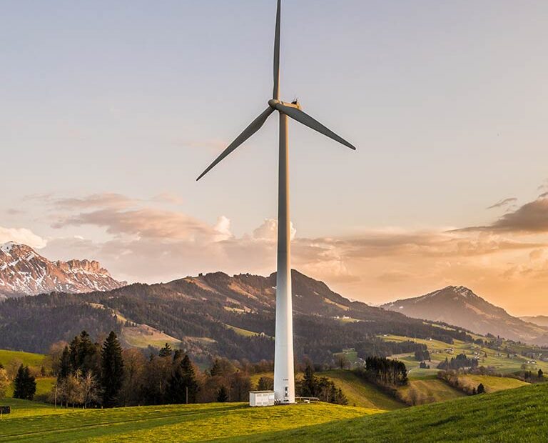 project_image_10 project image